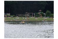 Camping verhuur Campingplatz Bullerby am Attersee
