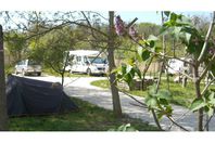 Camping Vermietung Tranquil Pines