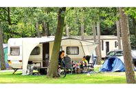Camping Vermietung Oostappen Vakantiepark Arnhem
