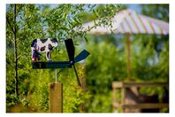 Camping verhuur Minicamping De Groenstraat