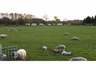 Camping Vermietung Camping Vogelenzang