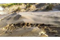 Camping Vermietung Camping De Zonnehoeve