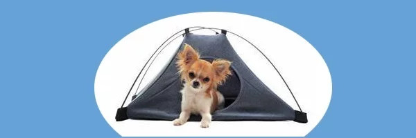Liste des campings avec animaux acceptés