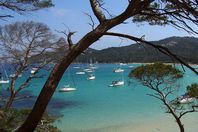 Campsite rental L'Ile d'or