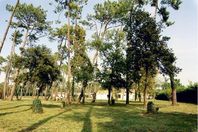 Location camping Sous Les Pins