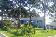 Location camping La Forêt