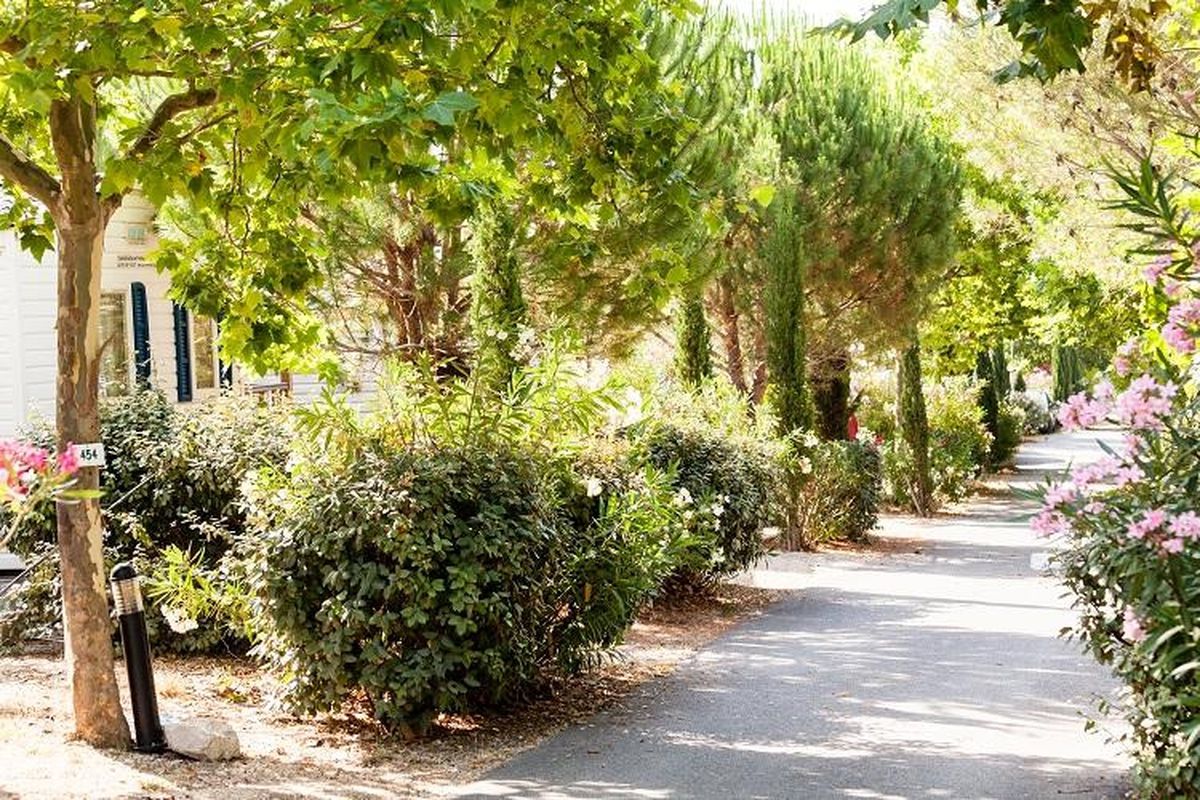 La Baie des Anges tarifs et avis Camping 13600 La Ciotat Camping and co