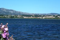 Location camping Domaine de la Palme