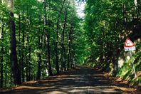 Location camping Il Ceppo