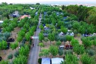Camping alquiler Sabbia D'Oro