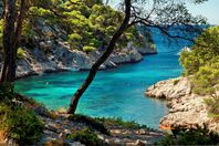 Location camping Le Méditerranée