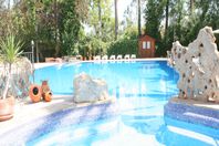 Camping alquiler Internacional Las Palmeras