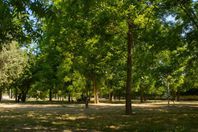 Location camping Campeggio Almoetia