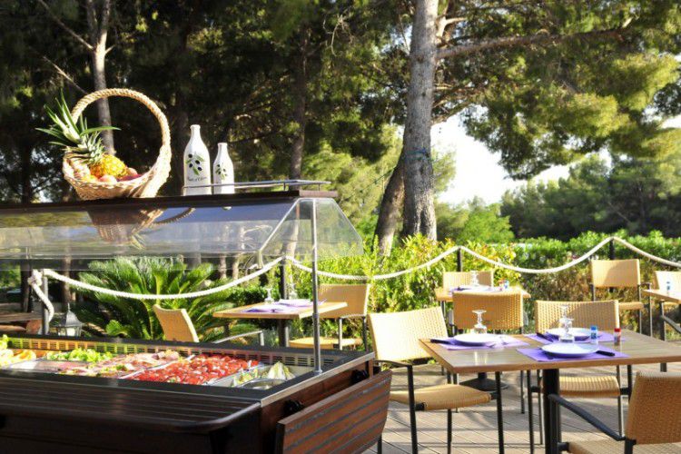 Les Dauphins tarifs et avis Camping 83270 SaintCyrsurMer Camping and co