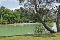 Location camping Chêne Du Lac