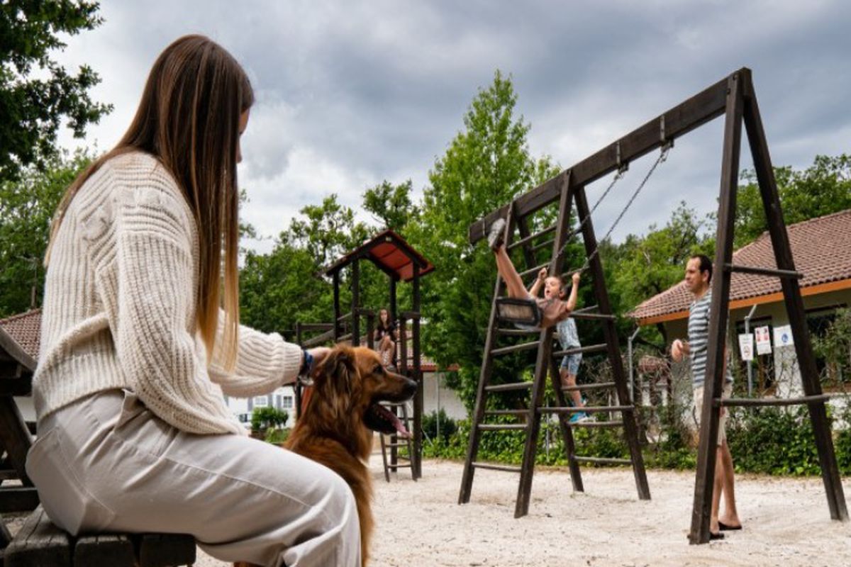 camping-ta-ga-etxarri-etxarri-aranaz-tarifs-et-avis-camping-and-co