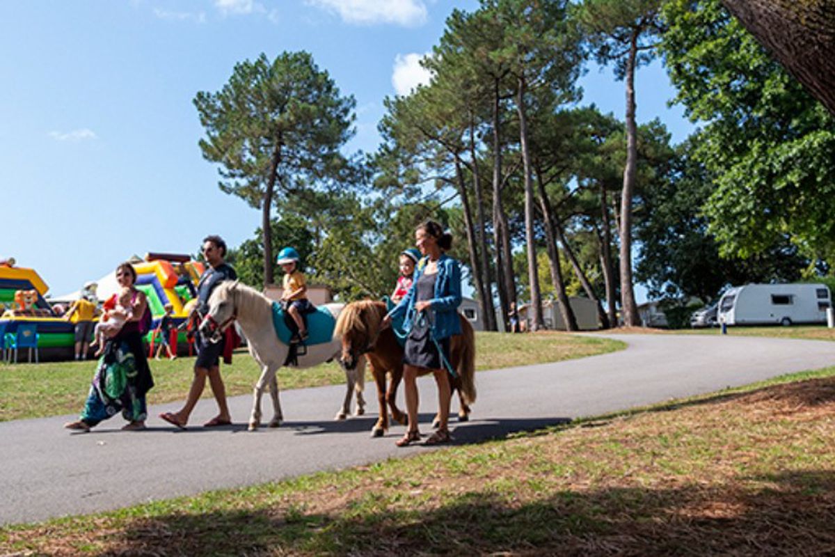 Penn Mar tarifs et avis Camping 56870 Baden Camping and co