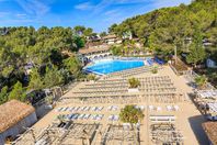 Campsite rental Holiday Green