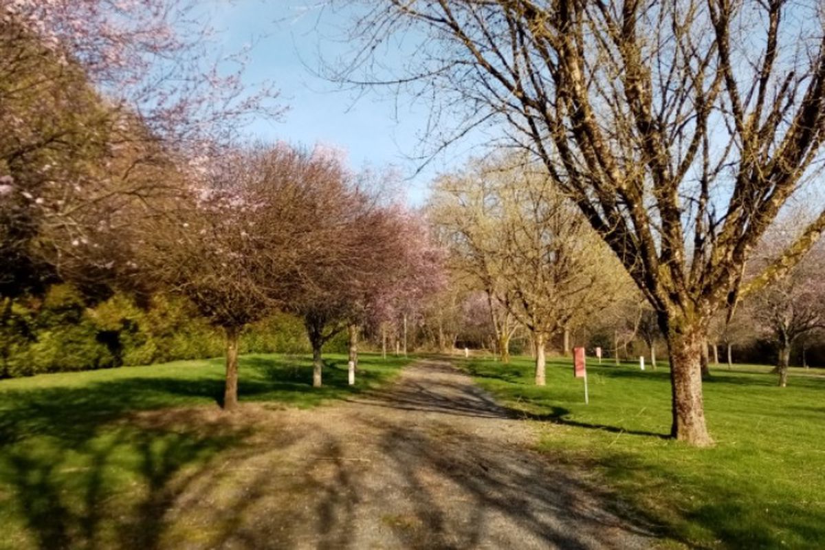 L'Etang Du Petit Bois Boek uw Campingvakantie direct Camping & Co