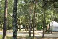 Location camping Mille Étoiles