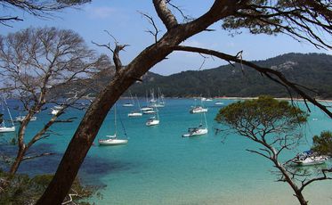 L'Ile d'or