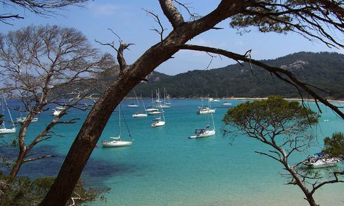 L'Ile d'or