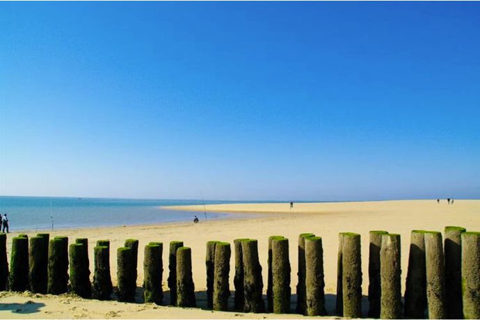 Côte d'Argent - tarifs et avis Camping - 33990 Hourtin Plage - Camping