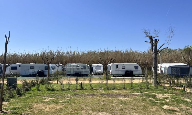 Camping El Pinar - Blanes : Campingplatz buchen | Camping and Co