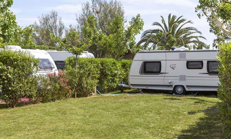 camping tisch stuhl Campingtisch, Falttisch aus Holz, Design Kampiertisch leicht und hochwertig  – ethicamper