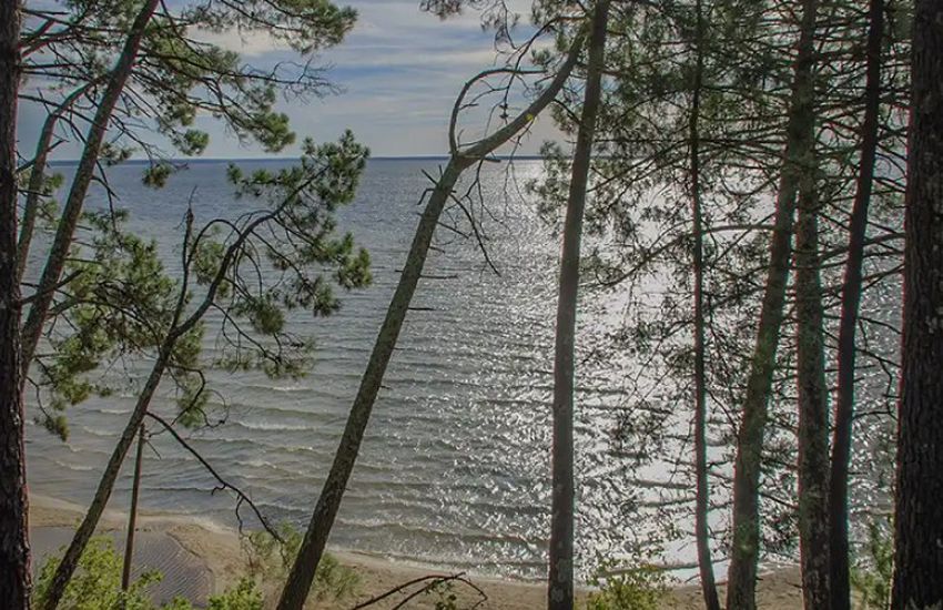 Camping Lac De Cazaux