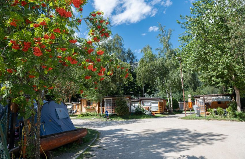 Camping Cevedale