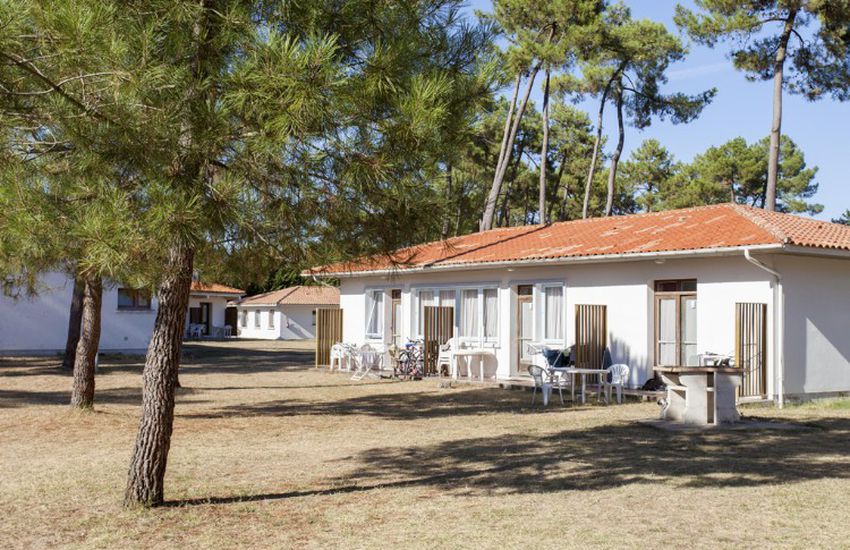 Sous Les Pins