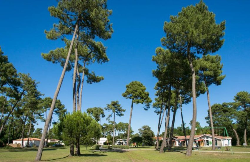 Camping Sous Les Pins