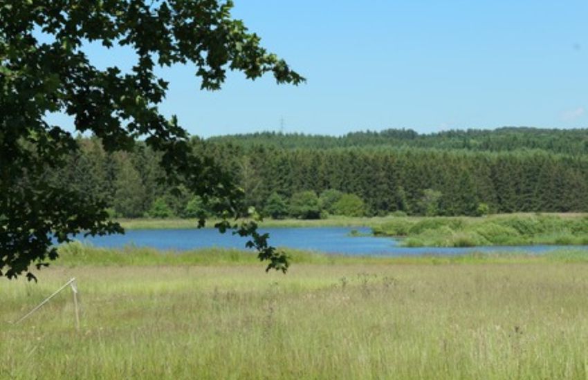 Campingplatz Jungferweiher