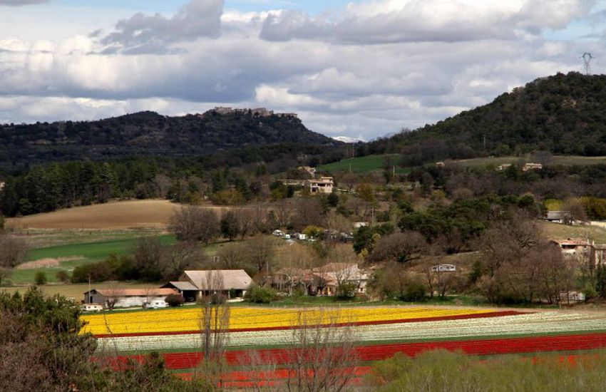 Camping Ferme Equestre Les Coccinelles