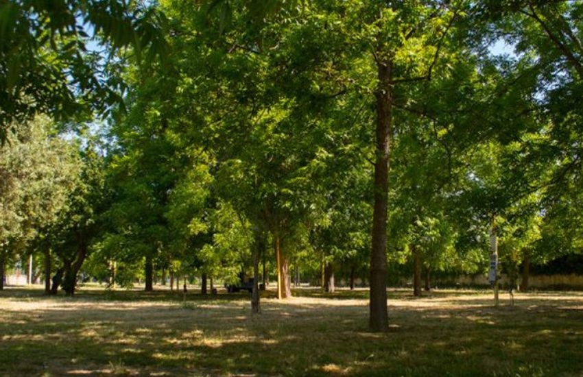 Camping Campeggio Almoetia