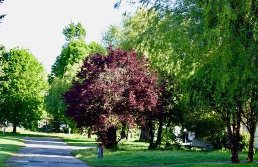 Camping L'Île d'amour