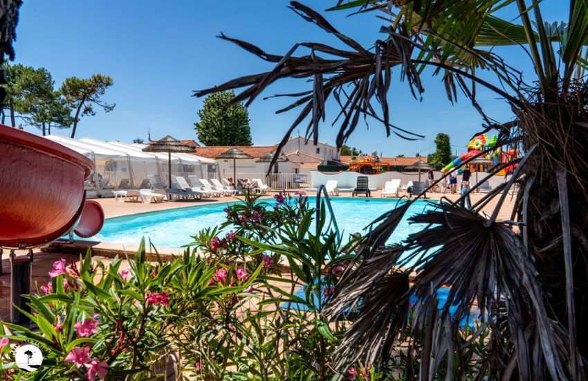 Camping Les Violettes