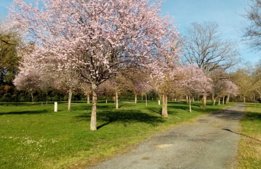 Camping L'Etang Du Petit Bois