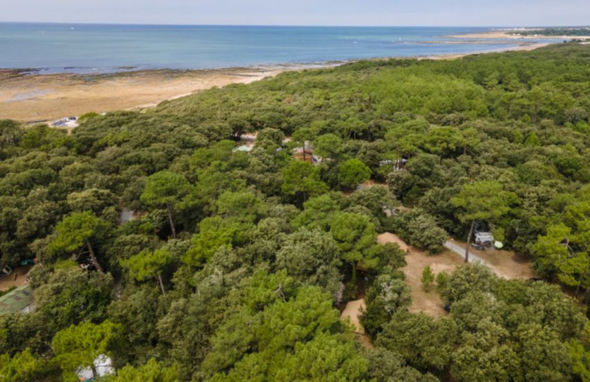 Camping Oléron Les Chênes Verts
