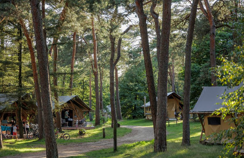 Camping De veluwe